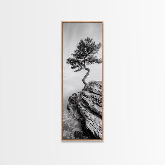 Cliffside Solitude – Black & White Woodland Tree Wall Art