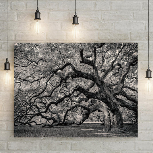 Ancient Branches – Monochrome Oak Canvas Art