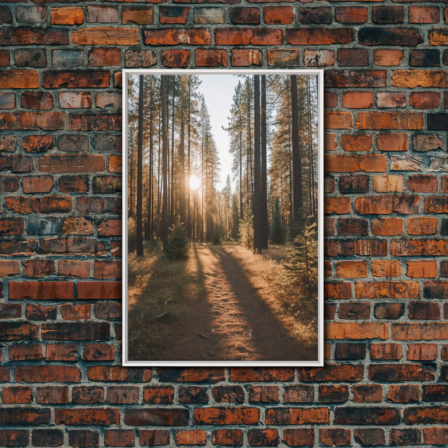 Golden Quiet – Autumn Forest Canvas Art