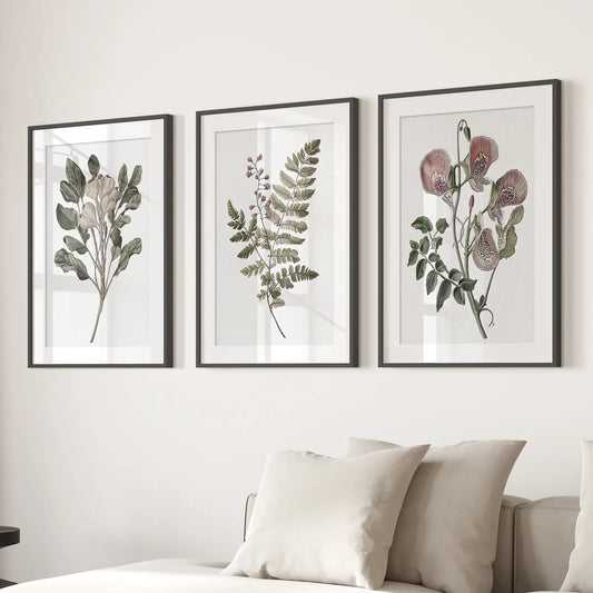 Floral Plant Vintage Decor – Botanical Neutral Art (Set of 3)