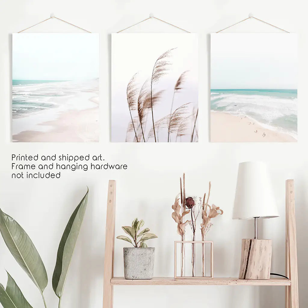 Coastal Pampas & Ocean – 3 Piece Wall Art Set