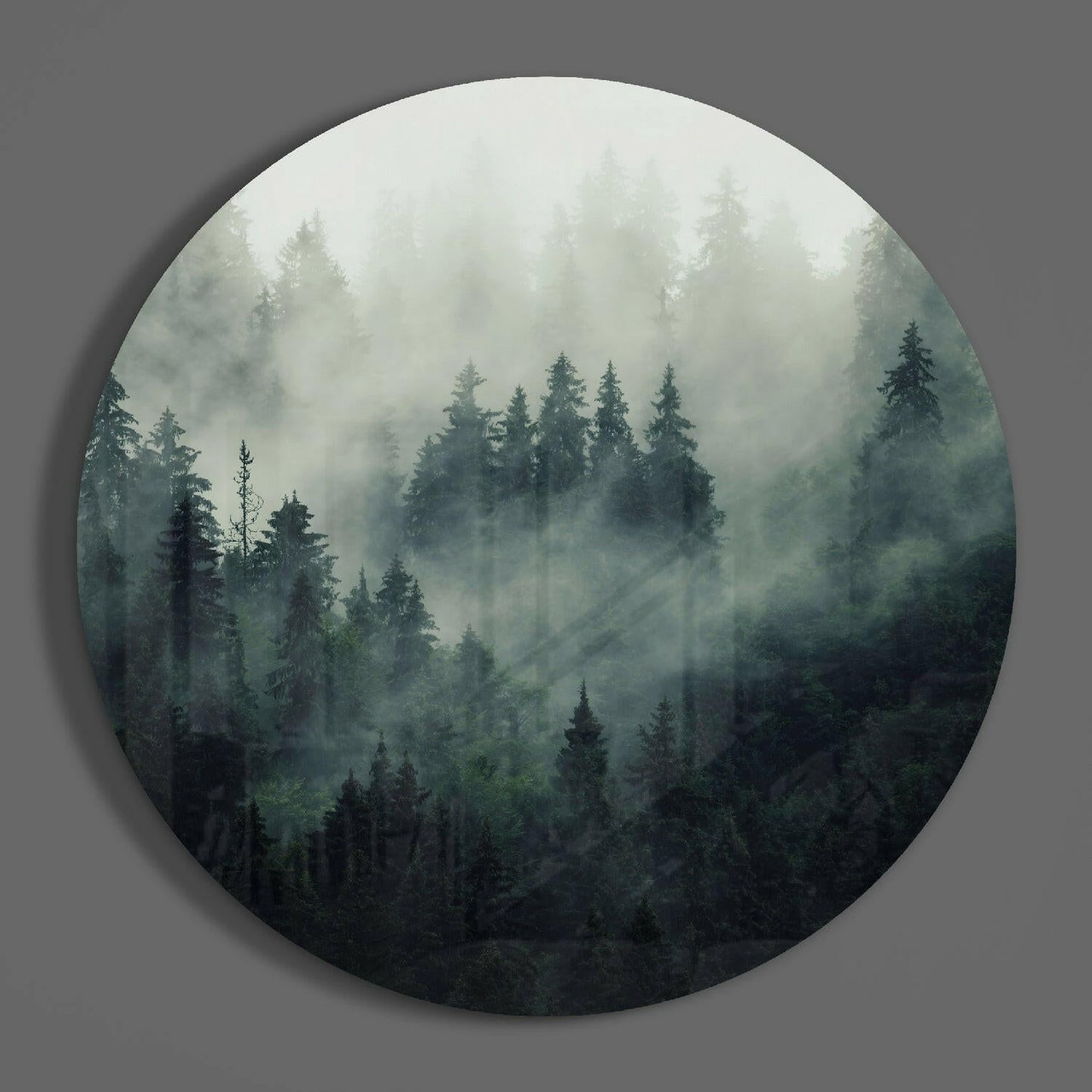 Misty Evergreen Forest – Glass Wall Art