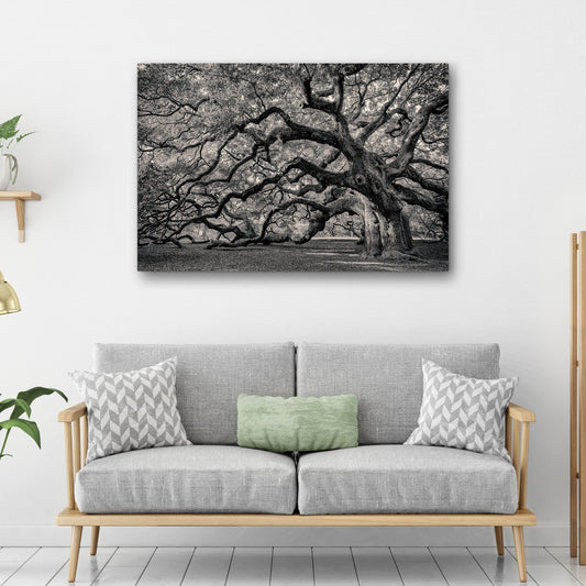 Ancient Branches – Monochrome Oak Canvas Art