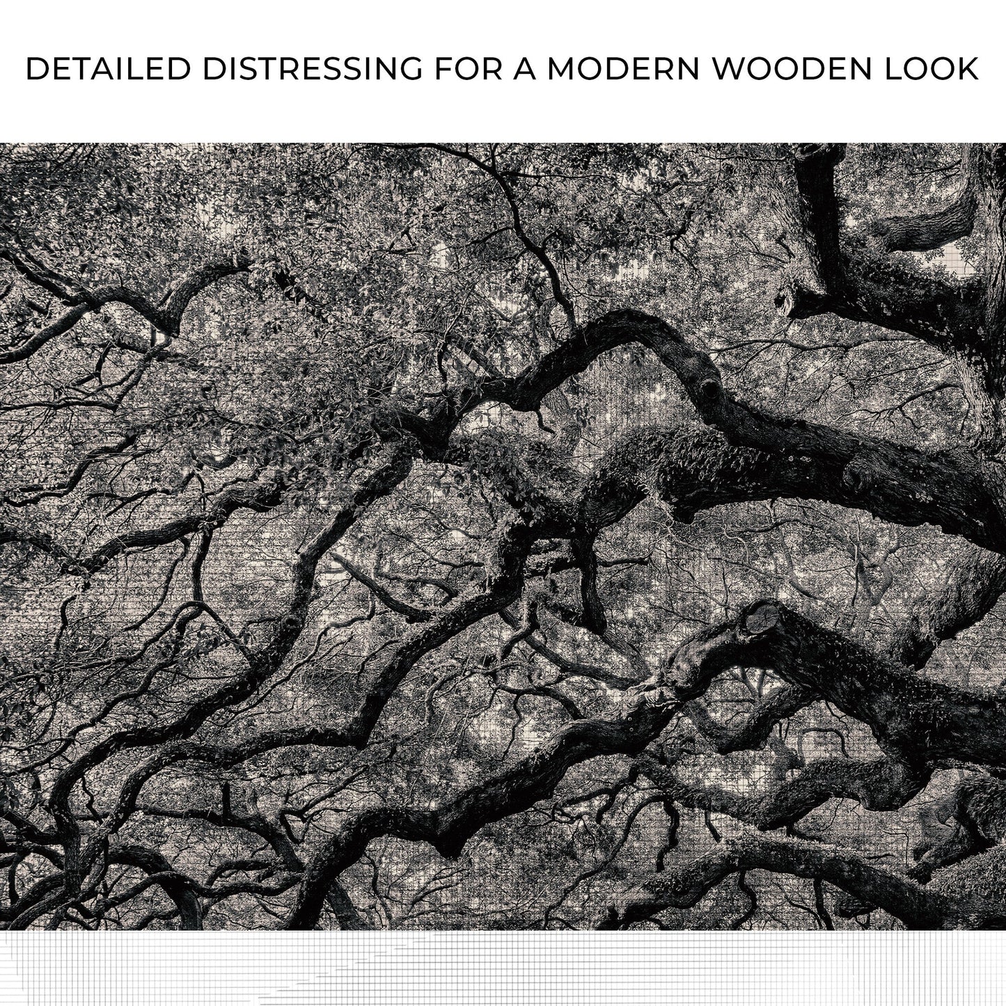 Ancient Branches – Monochrome Oak Canvas Art