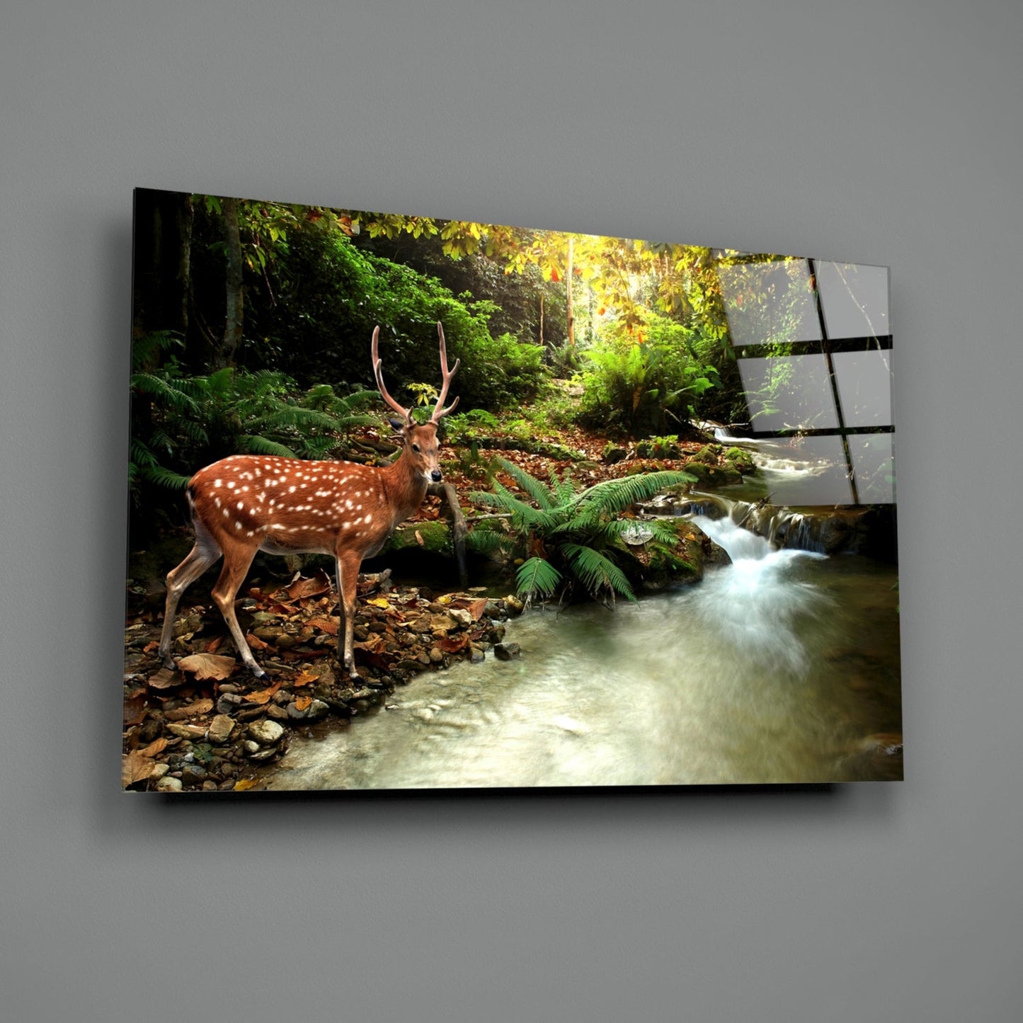 Woodland Reflection – Deer Glass Wall Art