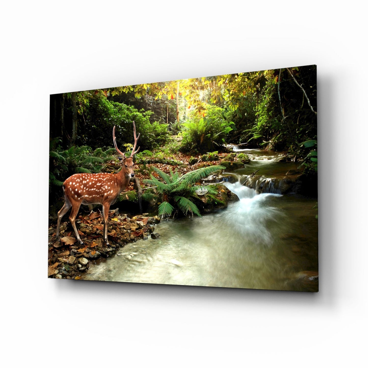 Woodland Reflection – Deer Glass Wall Art