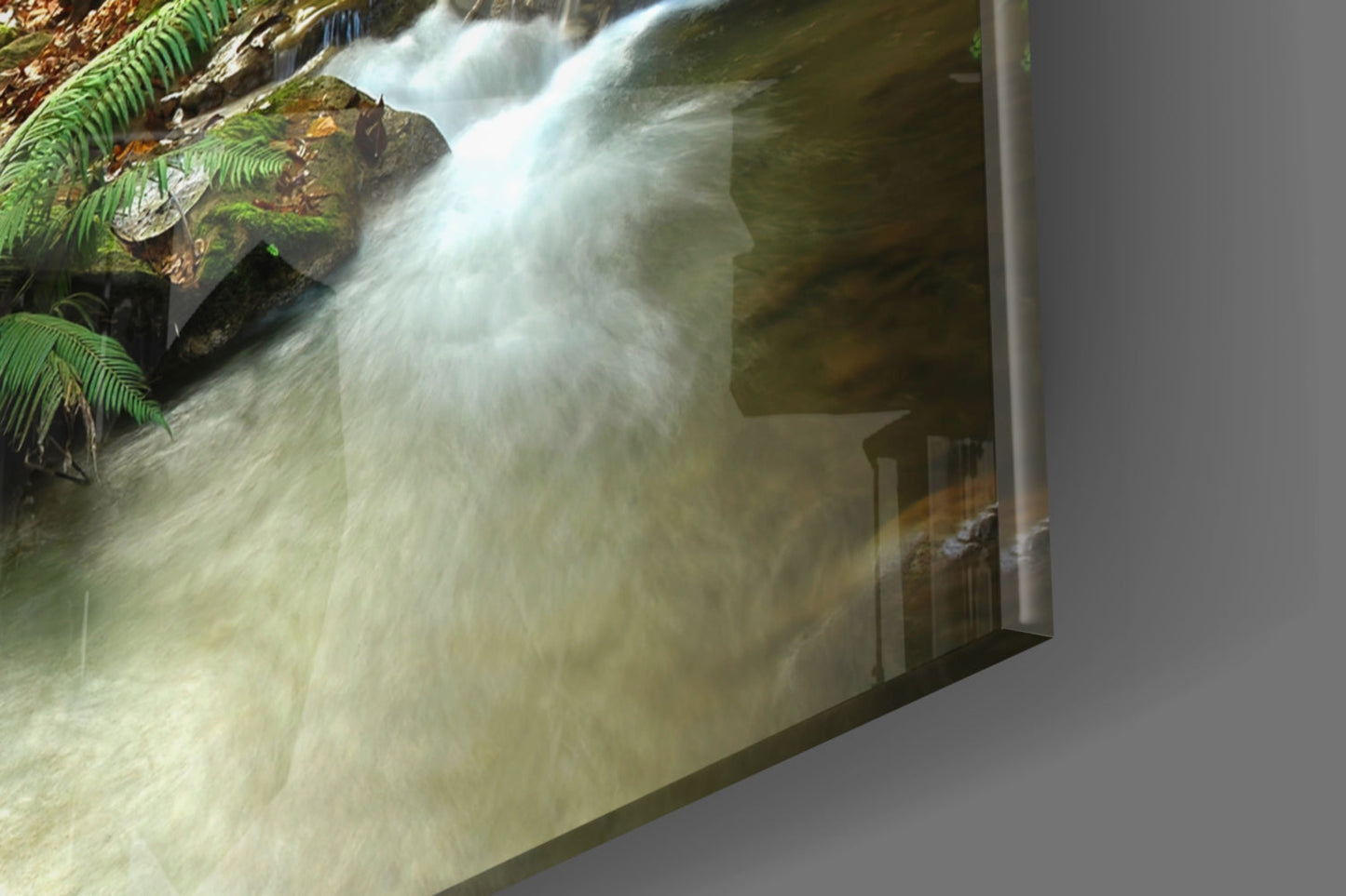 Woodland Reflection – Deer Glass Wall Art