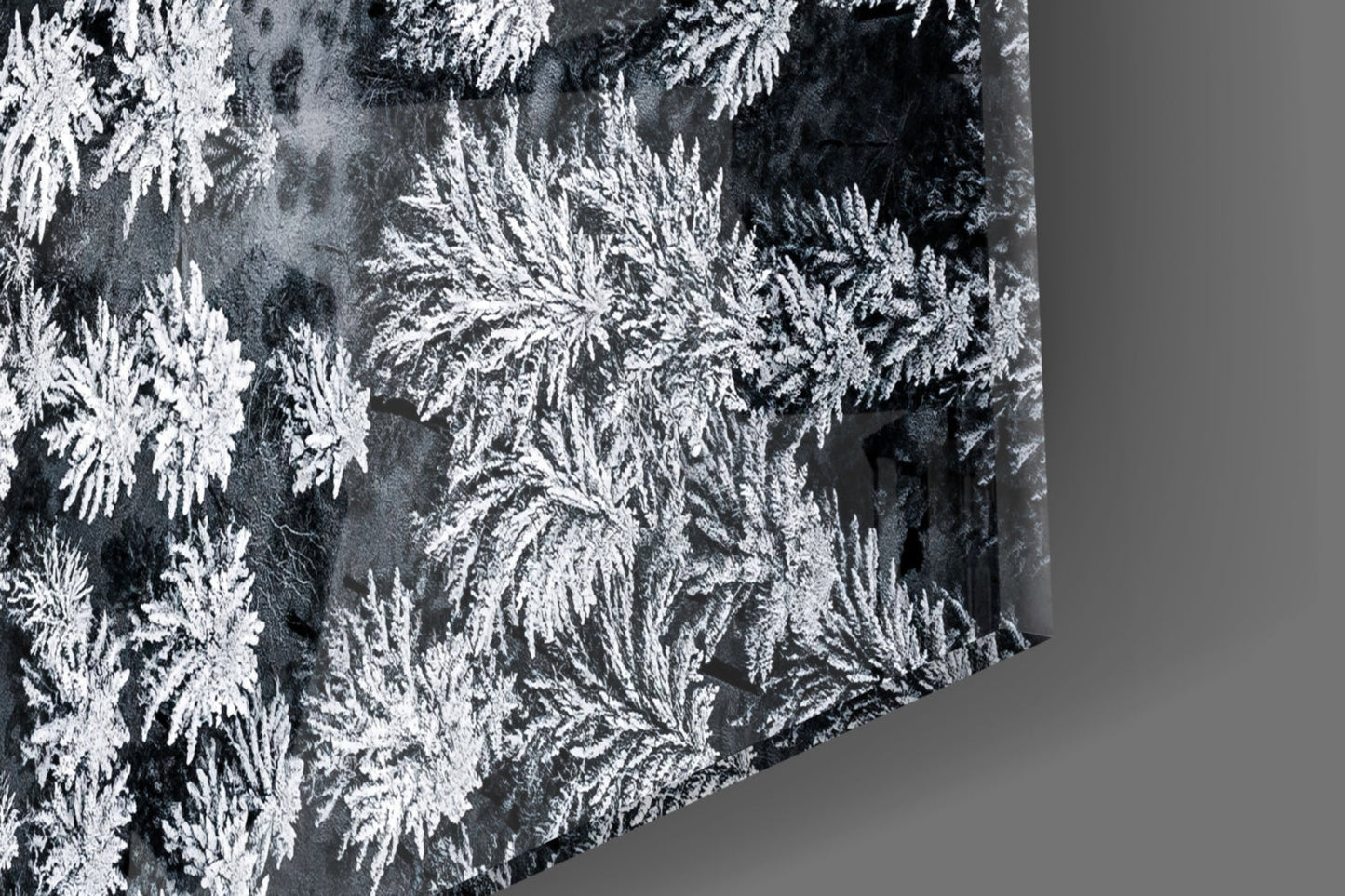 Winter Serpentine – Snowbound Forest Road Glass Wall Art