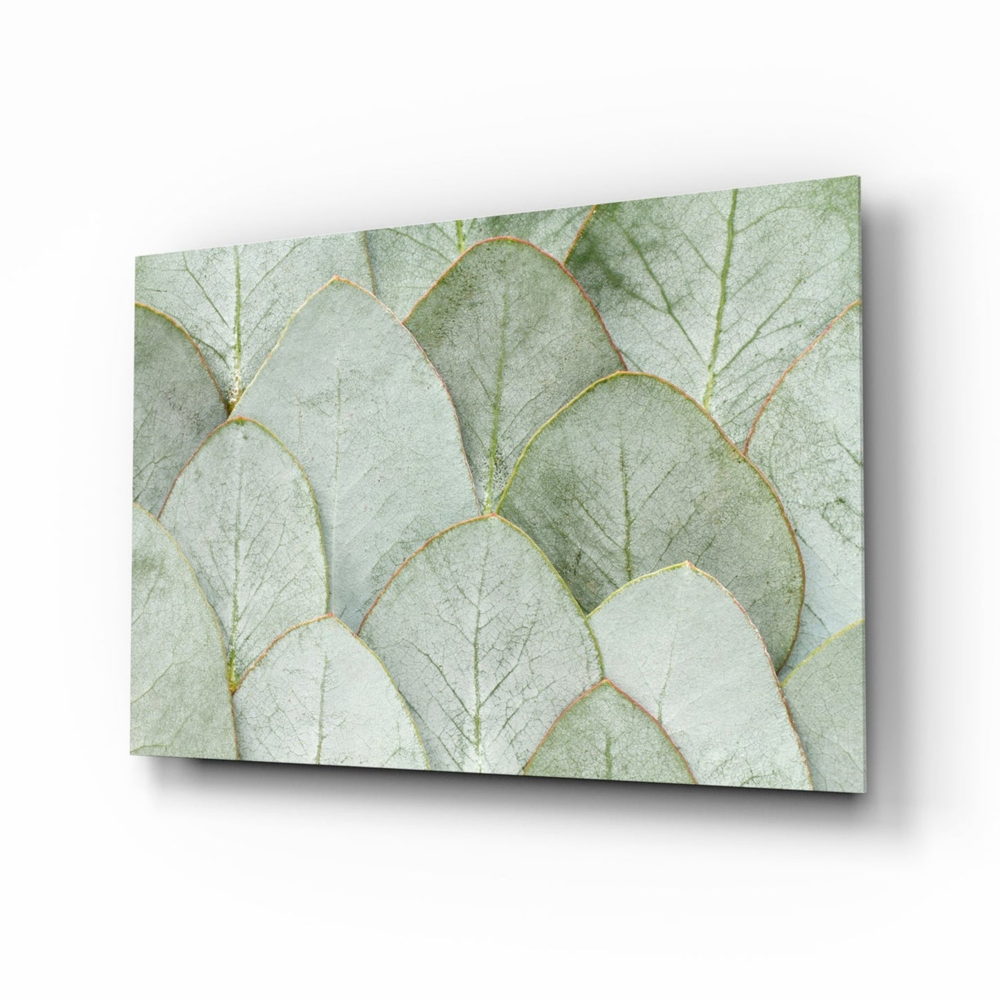 Layered Botanical Leaves – Glass Wall Art
