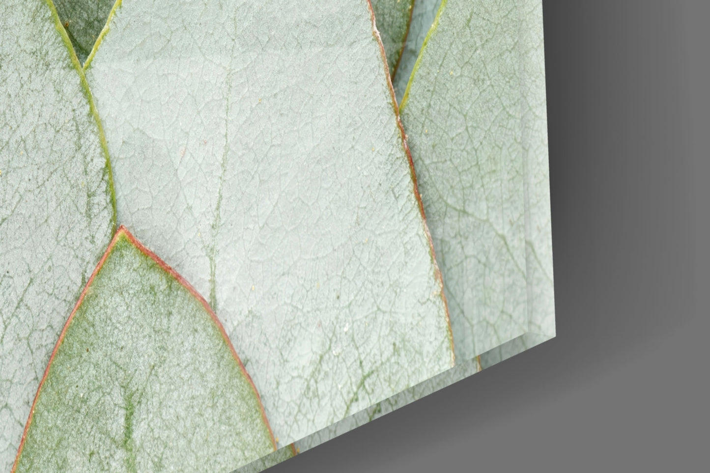 Layered Botanical Leaves – Glass Wall Art